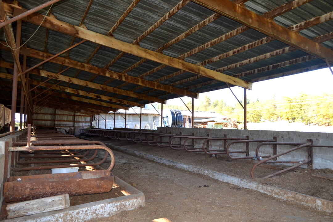 Grants Pass, Oregon, 97526, United States, 4 Bedrooms Bedrooms, ,2 BathroomsBathrooms,Residential,Active,1973303