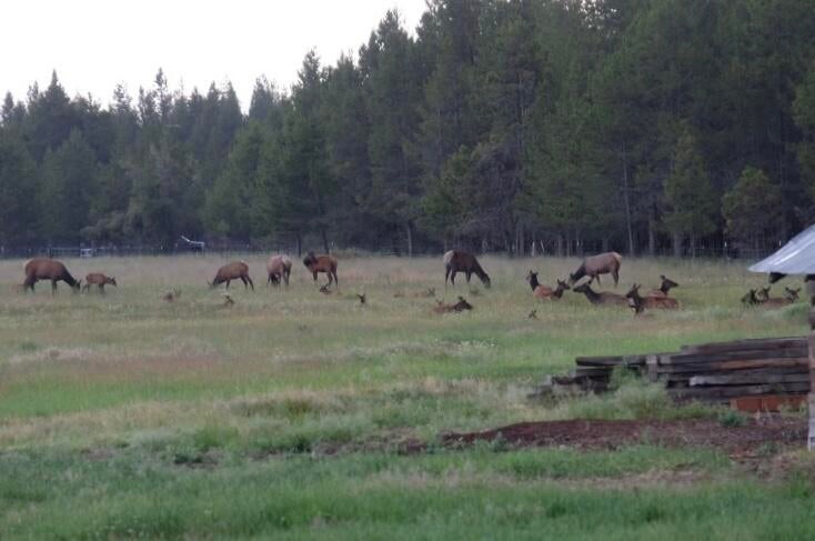 Bend, Oregon, 97707, United States, 3 Bedrooms Bedrooms, ,3 BathroomsBathrooms,Residential,Active,1880197