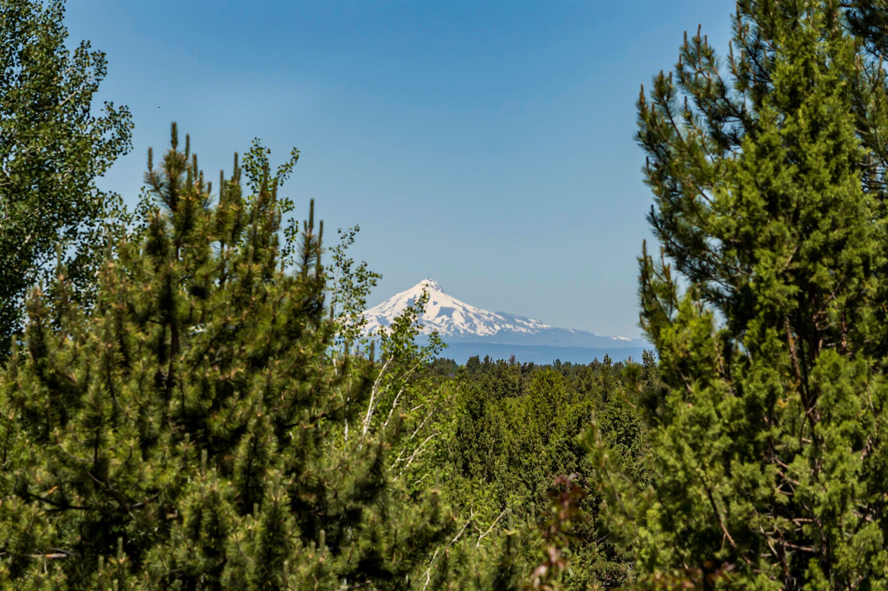Bend, Oregon, 97702, United States, ,6 BathroomsBathrooms,Residential,Active,1726978
