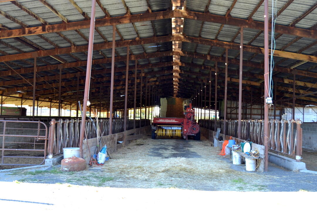 Grants Pass, Oregon, 97526, United States, 4 Bedrooms Bedrooms, ,2 BathroomsBathrooms,Residential,Active,1973303