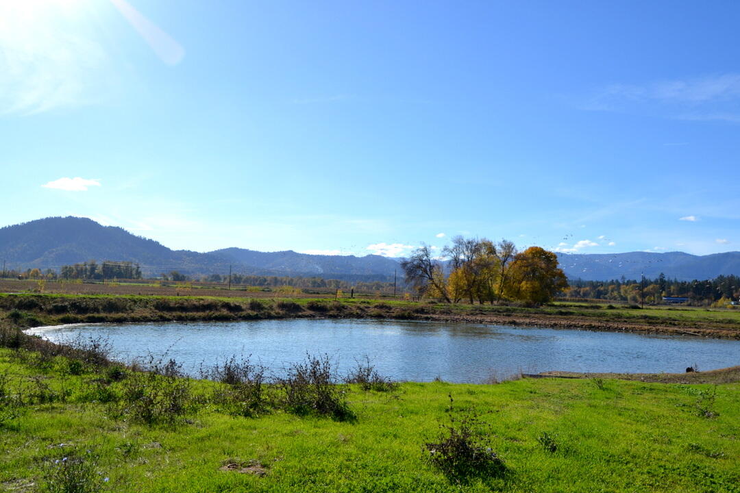 Grants Pass, Oregon, 97526, United States, 4 Bedrooms Bedrooms, ,2 BathroomsBathrooms,Residential,Active,1973303