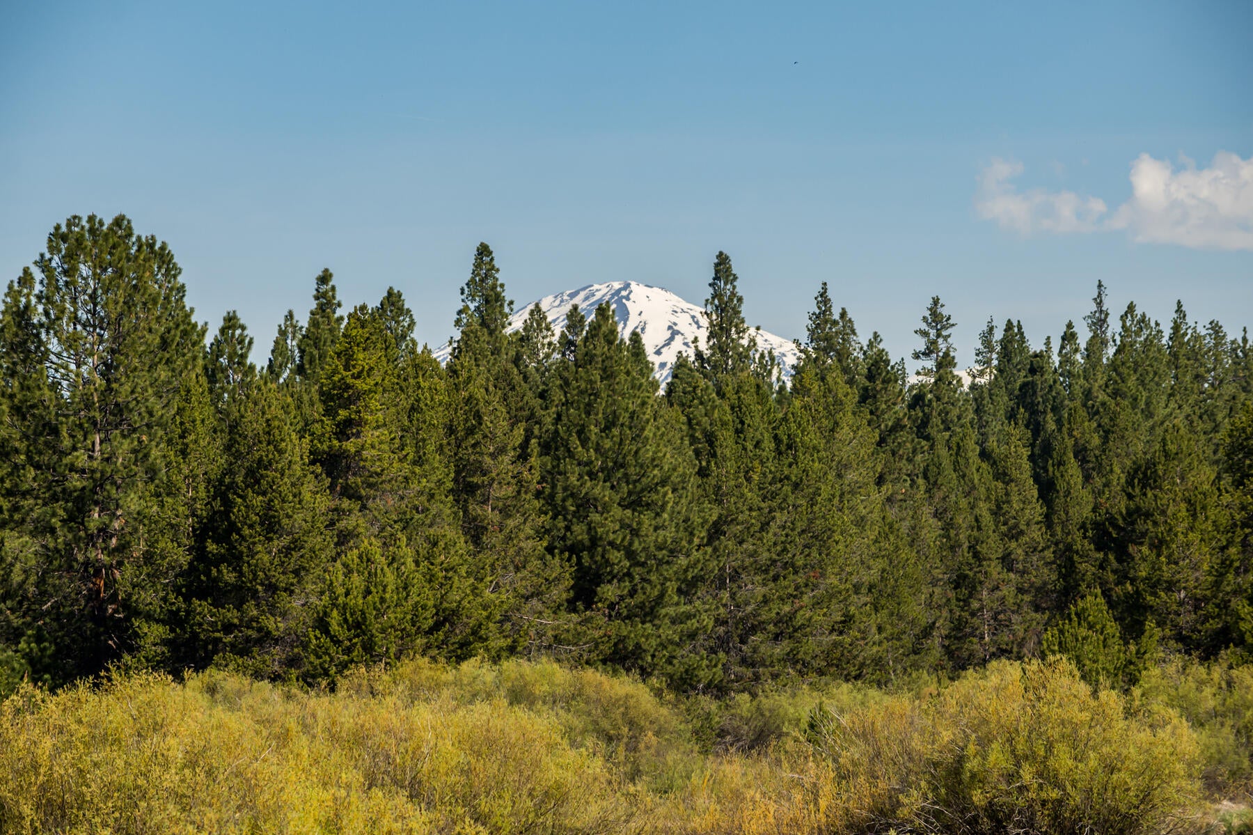 Bend, Oregon, 97707, United States, 5 Bedrooms Bedrooms, ,5 BathroomsBathrooms,Residential,Active,2044562