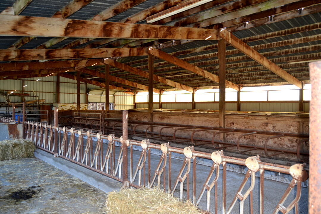 Grants Pass, Oregon, 97526, United States, 4 Bedrooms Bedrooms, ,2 BathroomsBathrooms,Residential,Active,1973303