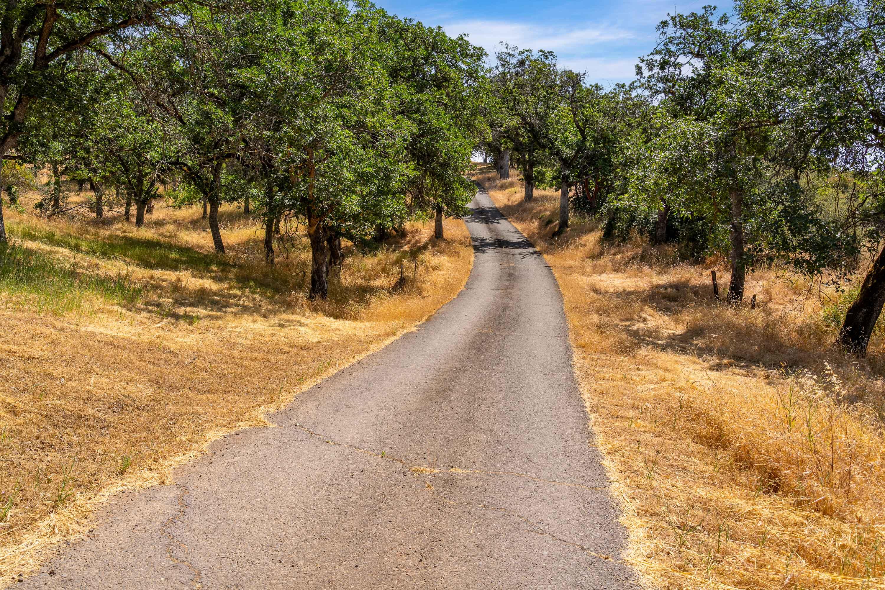 Central Point, Oregon, 97502, United States, 4 Bedrooms Bedrooms, ,4 BathroomsBathrooms,Residential,Active,2006836