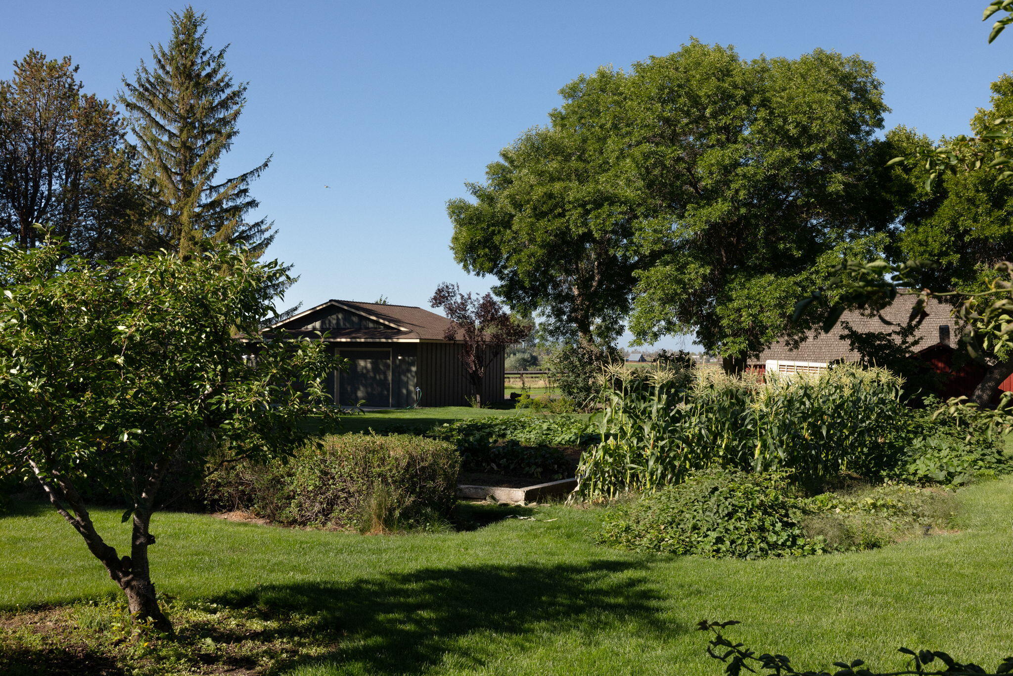 Powell Butte, Oregon, 97753, United States, ,3 BathroomsBathrooms,Residential,Active,1769369