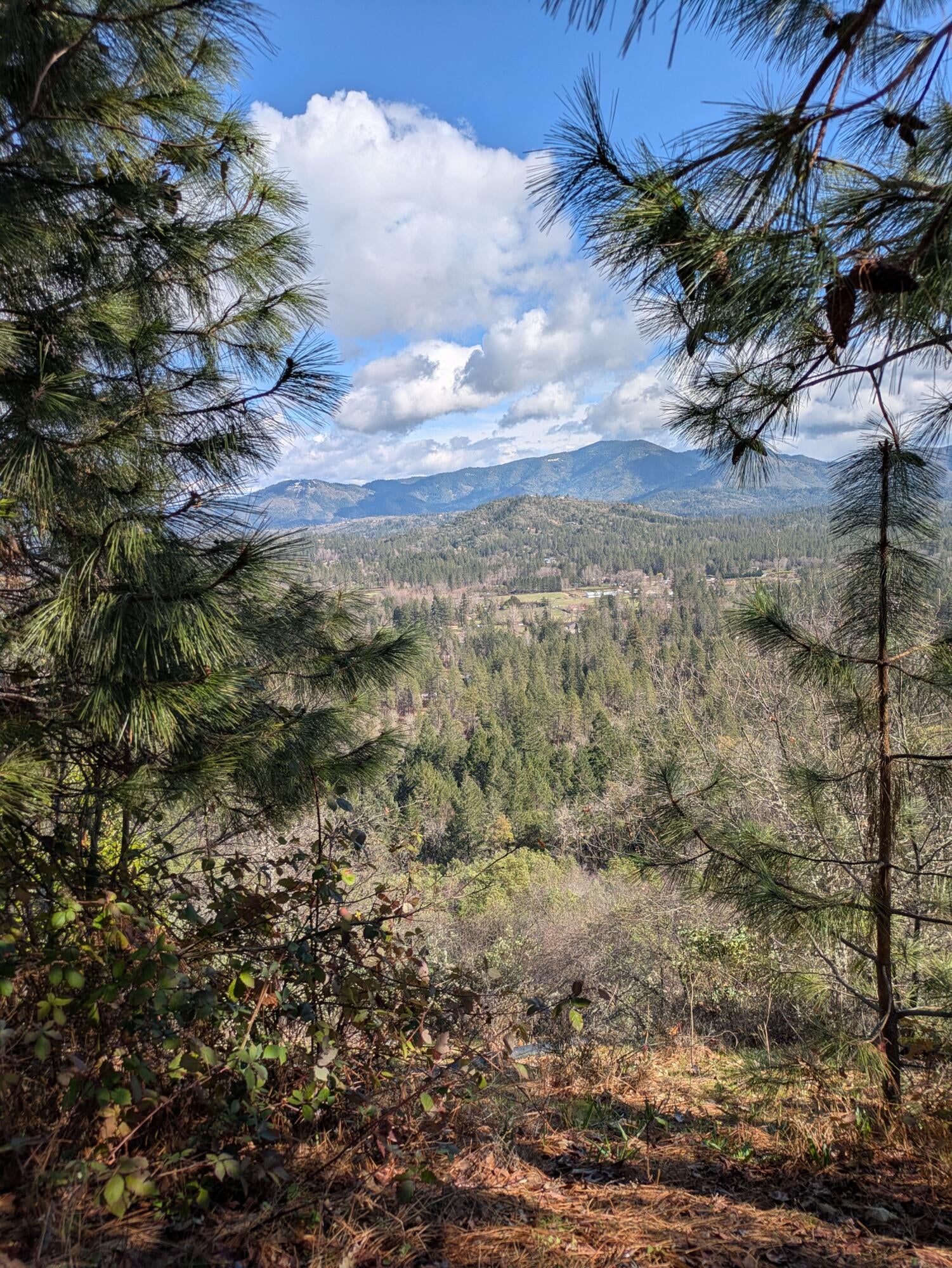 Grants Pass, Oregon, 97527, United States, 3 Bedrooms Bedrooms, ,3 BathroomsBathrooms,Residential,Active,1990612