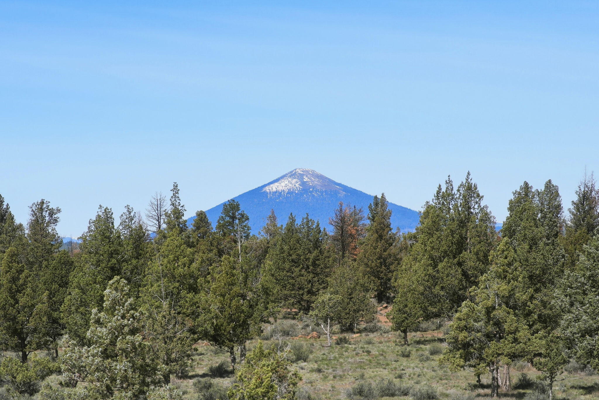 Sisters, Oregon, 97759, United States, 3 Bedrooms Bedrooms, ,3 BathroomsBathrooms,Residential,Active,2043417