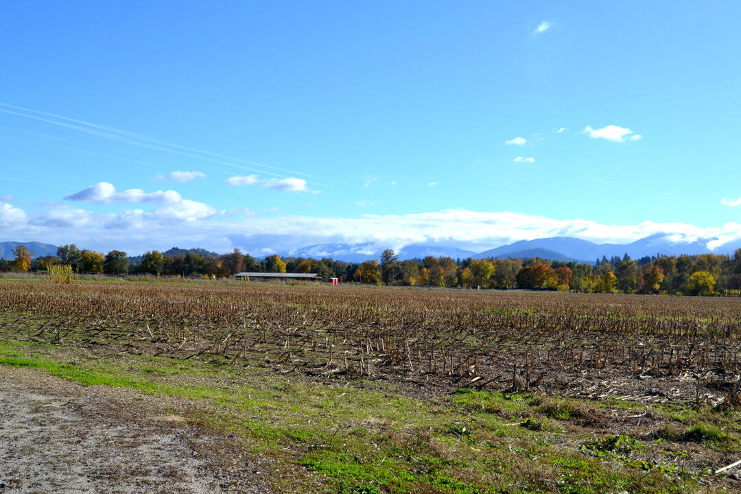 Grants Pass, Oregon, 97526, United States, 4 Bedrooms Bedrooms, ,2 BathroomsBathrooms,Residential,Active,1973303