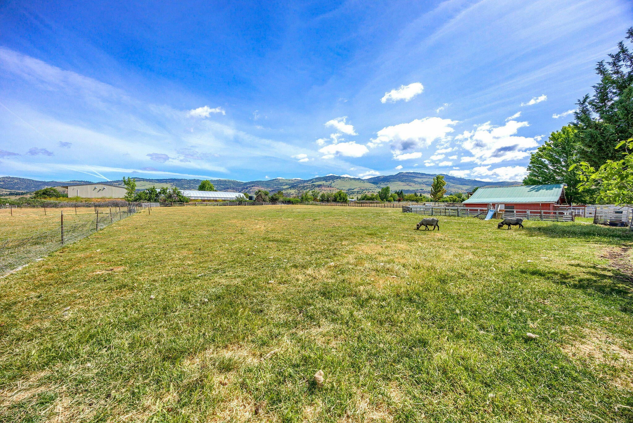 Ashland, Oregon, 97520, United States, 4 Bedrooms Bedrooms, ,4 BathroomsBathrooms,Residential,Active,1741601