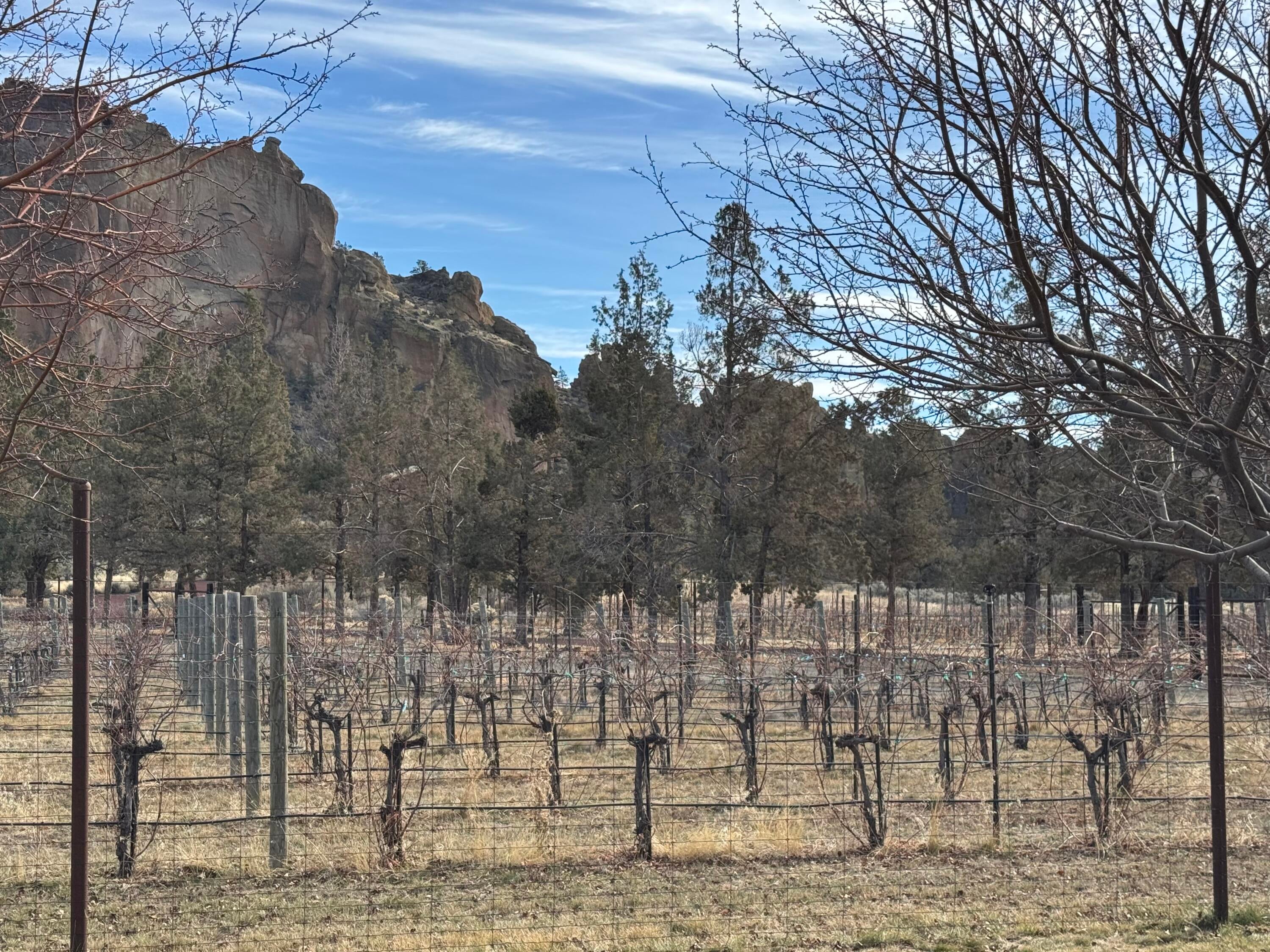 Terrebonne, Oregon, 97760, United States, 5 Bedrooms Bedrooms, ,5 BathroomsBathrooms,Residential,Active,1747251