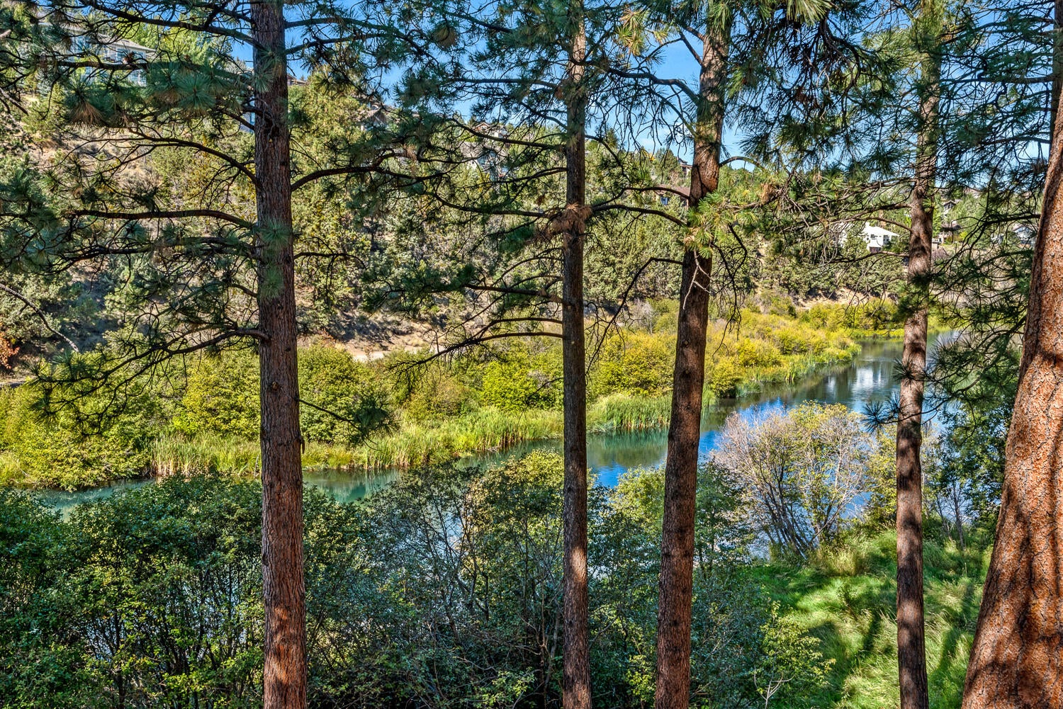 Bend, Oregon, 97703, United States, 3 Bedrooms Bedrooms, ,3 BathroomsBathrooms,Residential,Active,1952278