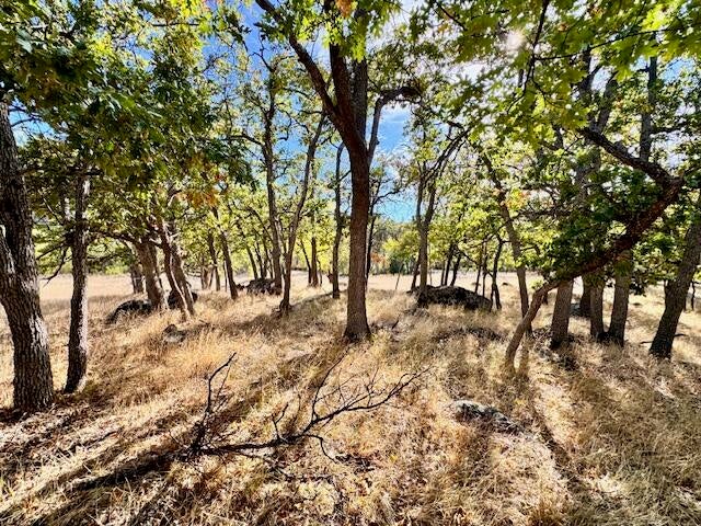 Ashland, Oregon, 97520, United States, 4 Bedrooms Bedrooms, ,4 BathroomsBathrooms,Residential,Active,1999942