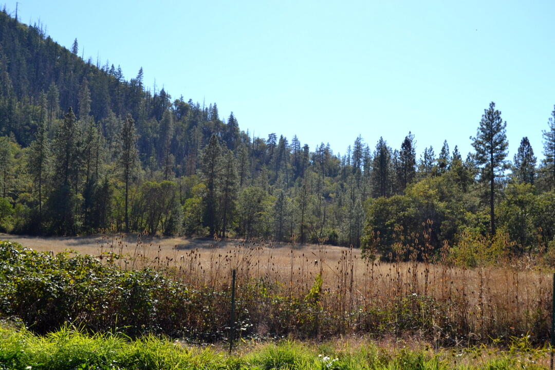 Applegate, Oregon, 97530, United States, 4 Bedrooms Bedrooms, ,3 BathroomsBathrooms,Residential,Active,1963259