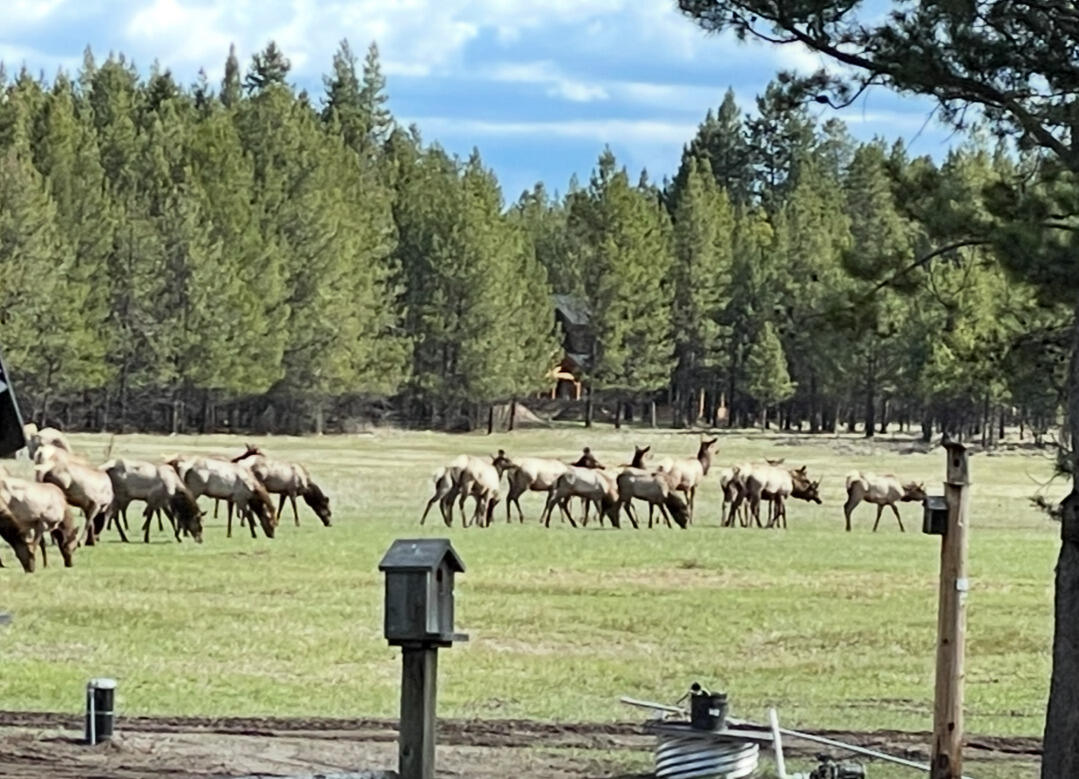 Bend, Oregon, 97707, United States, 3 Bedrooms Bedrooms, ,3 BathroomsBathrooms,Residential,Active,1880197