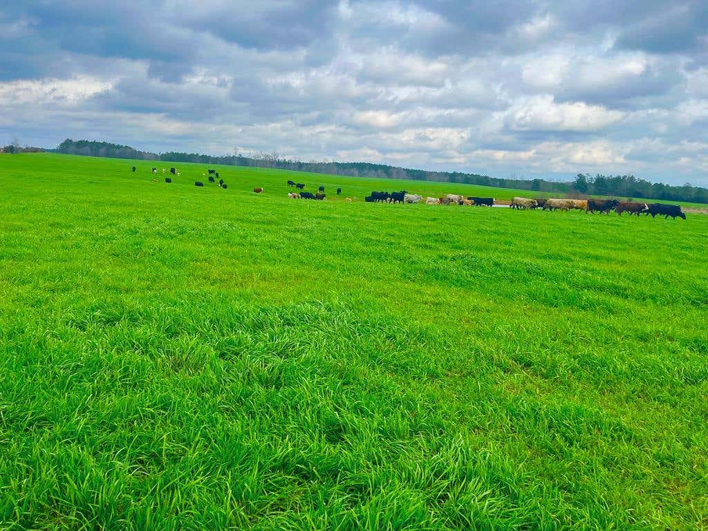 3160 OLD MALCUM RD NE  