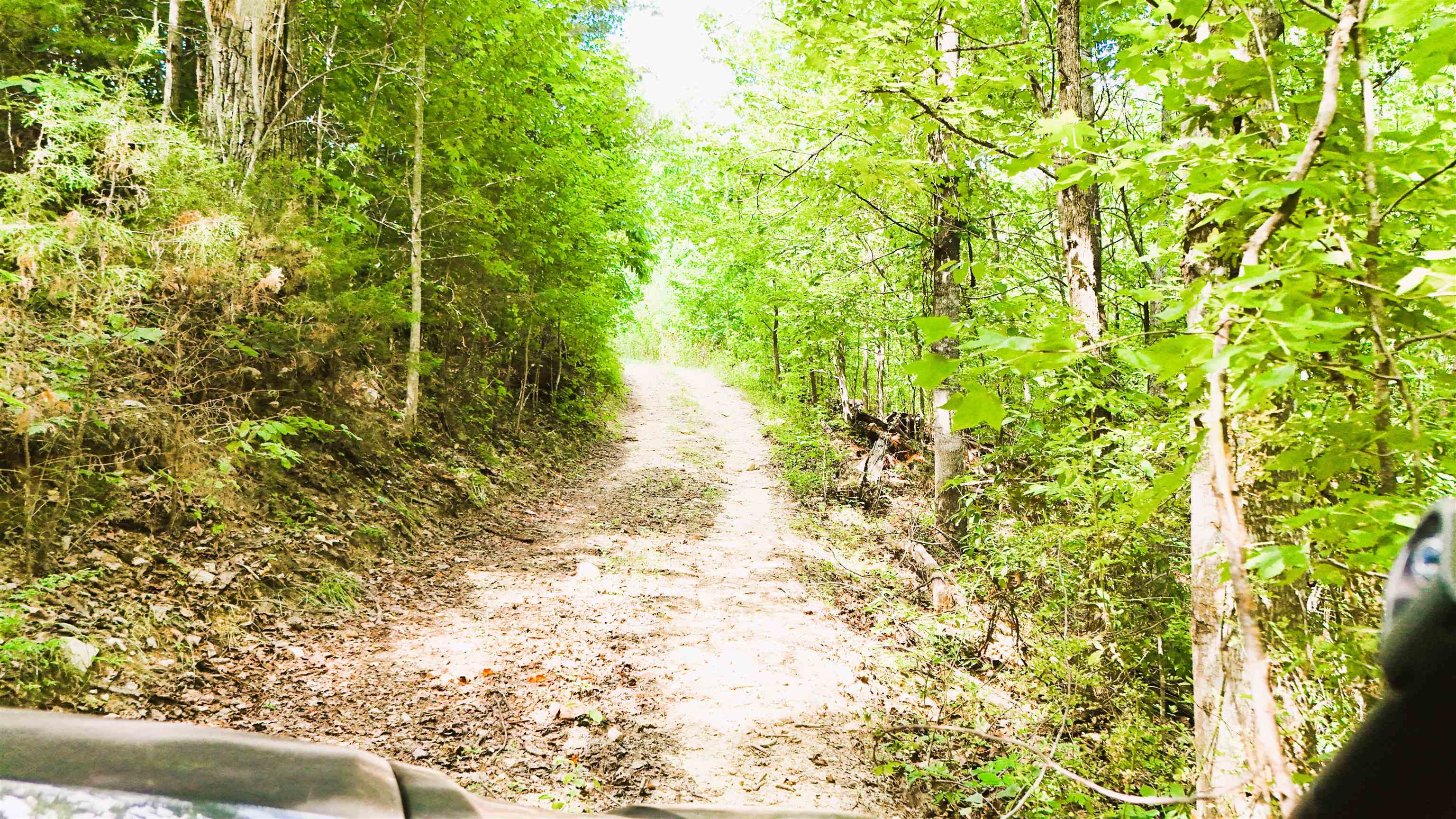 Greer, South Carolina, 29651, United States, 5 Bedrooms Bedrooms, ,7 BathroomsBathrooms,Residential,Active,1894176