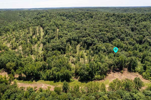 TRACT 2 CO RD 126, WATERLOO, AL 35677 - Image 1