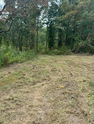 0 CO RD 8, WATERLOO, AL 35677 - Image 1