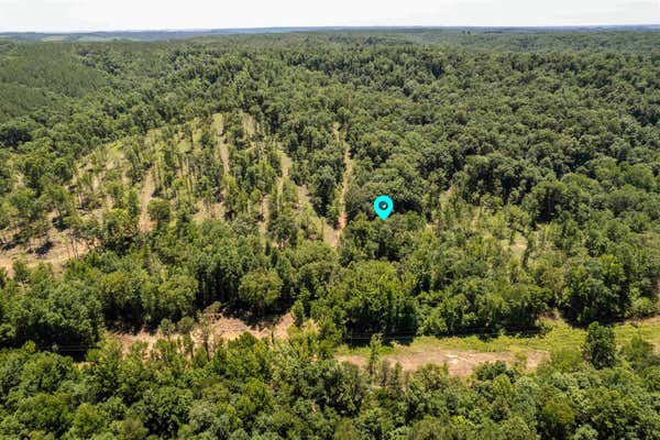 TRACT 4 CO RD 126, WATERLOO, AL 35677 - Image 1