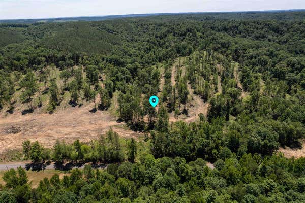 TRACT 7 CO RD 126, WATERLOO, AL 35677 - Image 1