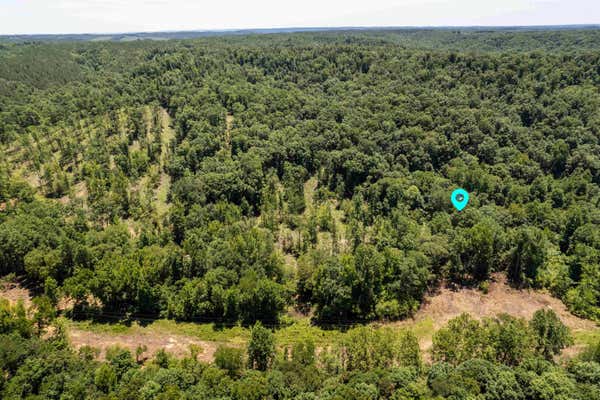 TRACT 3 CO RD 126, WATERLOO, AL 35677 - Image 1