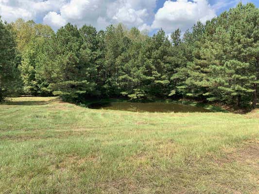 0 CO RD 51, HALEYVILLE, AL 35565 - Image 1