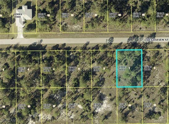 1036 CRESTHAVEN ST, LEHIGH ACRES, FL 33974 - Image 1