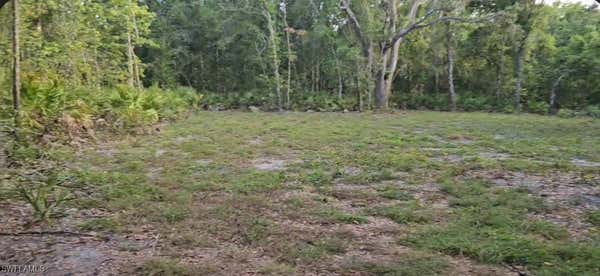 PEACE RIVER WOODS, WAUCHULA, FL 33873 - Image 1