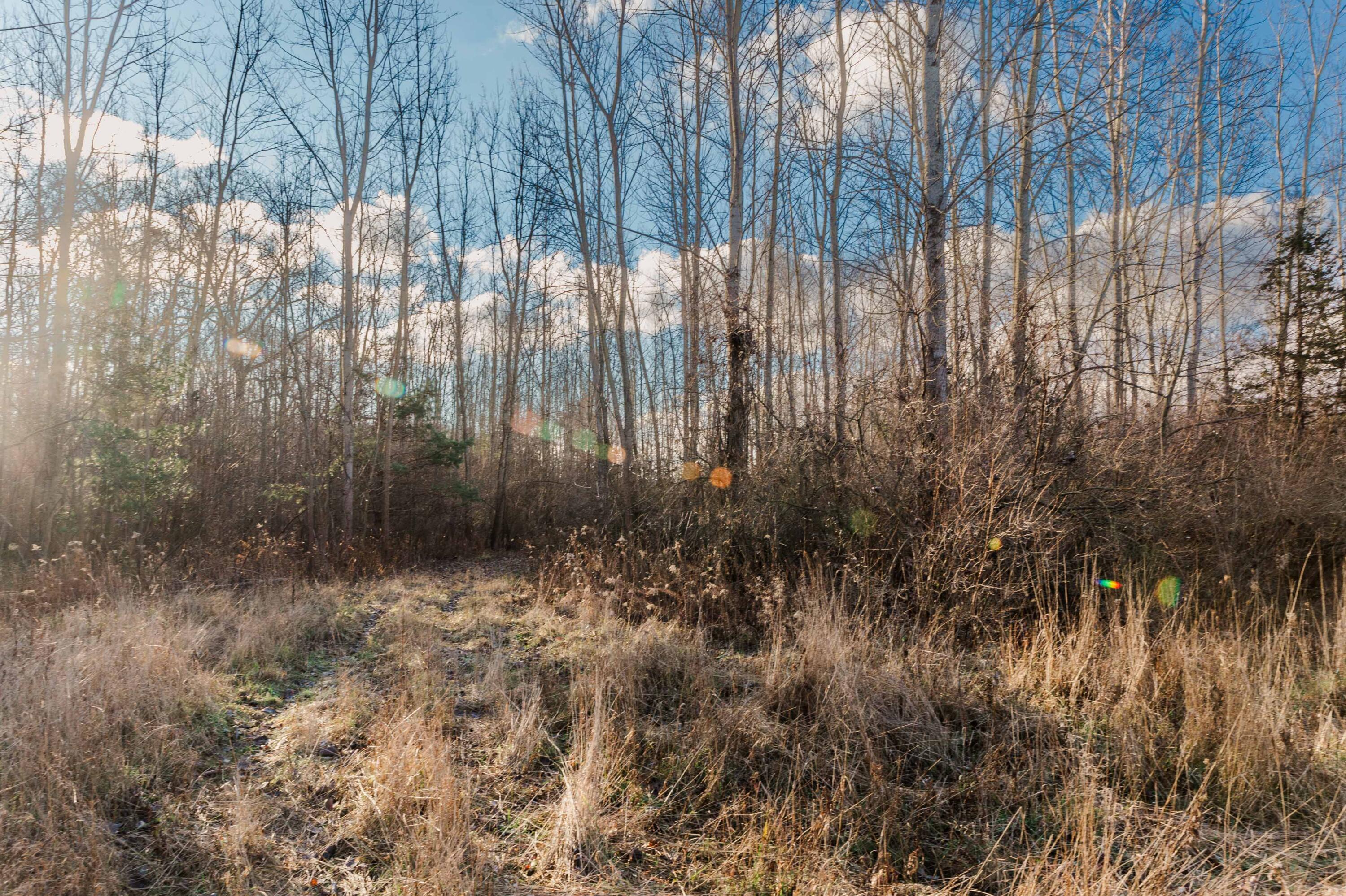 Saugatuck, Michigan, 49453, United States, ,5 BathroomsBathrooms,Residential,Pending,1769548