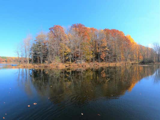 VL S EDEN LAKE ROAD, CUSTER, MI 49405 - Image 1