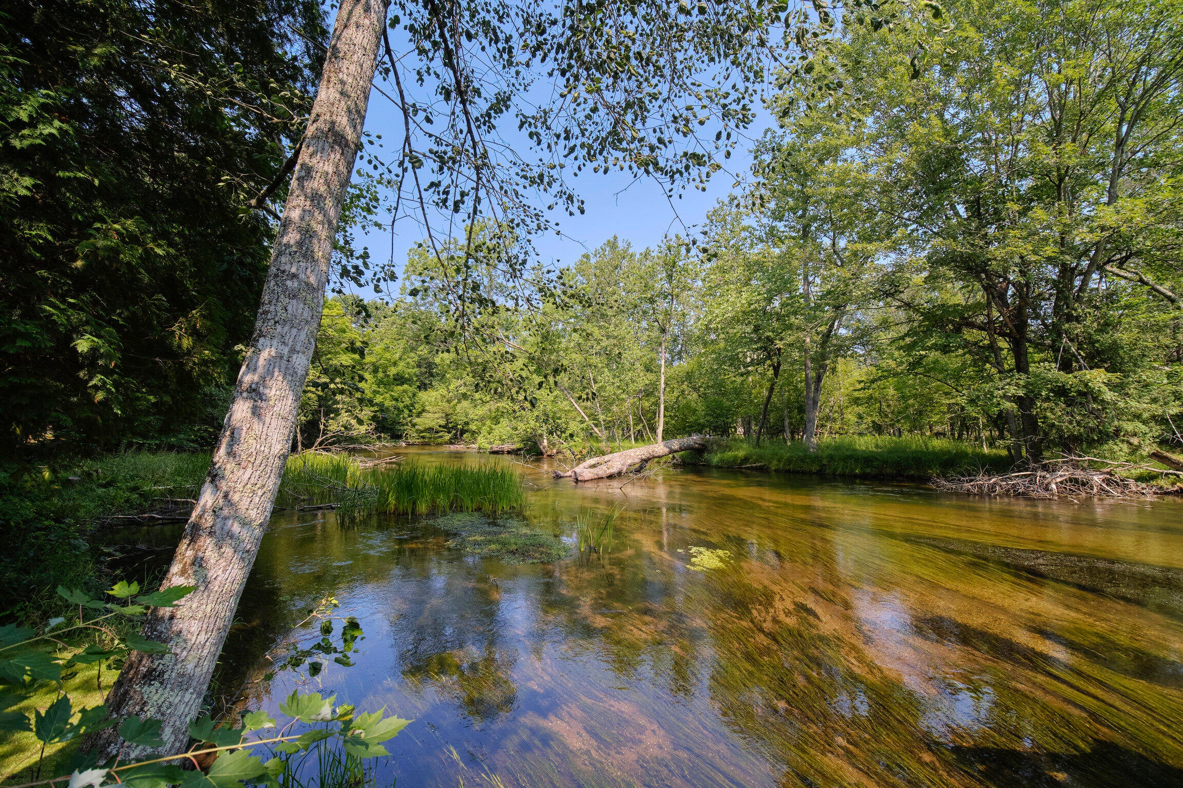 Manistee, Michigan, 49660, United States, 4 Bedrooms Bedrooms, ,4 BathroomsBathrooms,Residential,Active,1913051