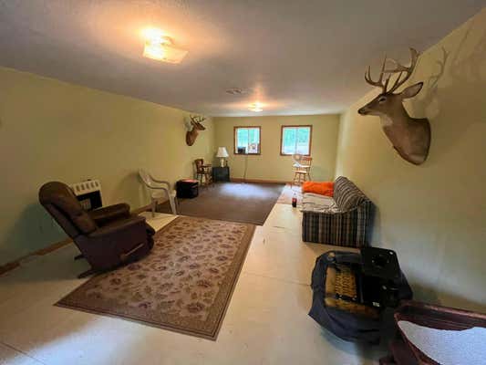 5046 S LAZY DEER LN, BALDWIN, MI 49304, photo 3 of 9