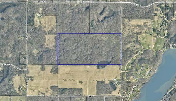 VL 80 ACRES WILKINS ROAD, HASTINGS, MI 49058 - Image 1