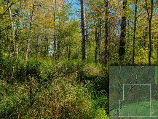 22758 S CHUB CREEK RD LOT 4, RUDYARD, MI 49780 - Image 1