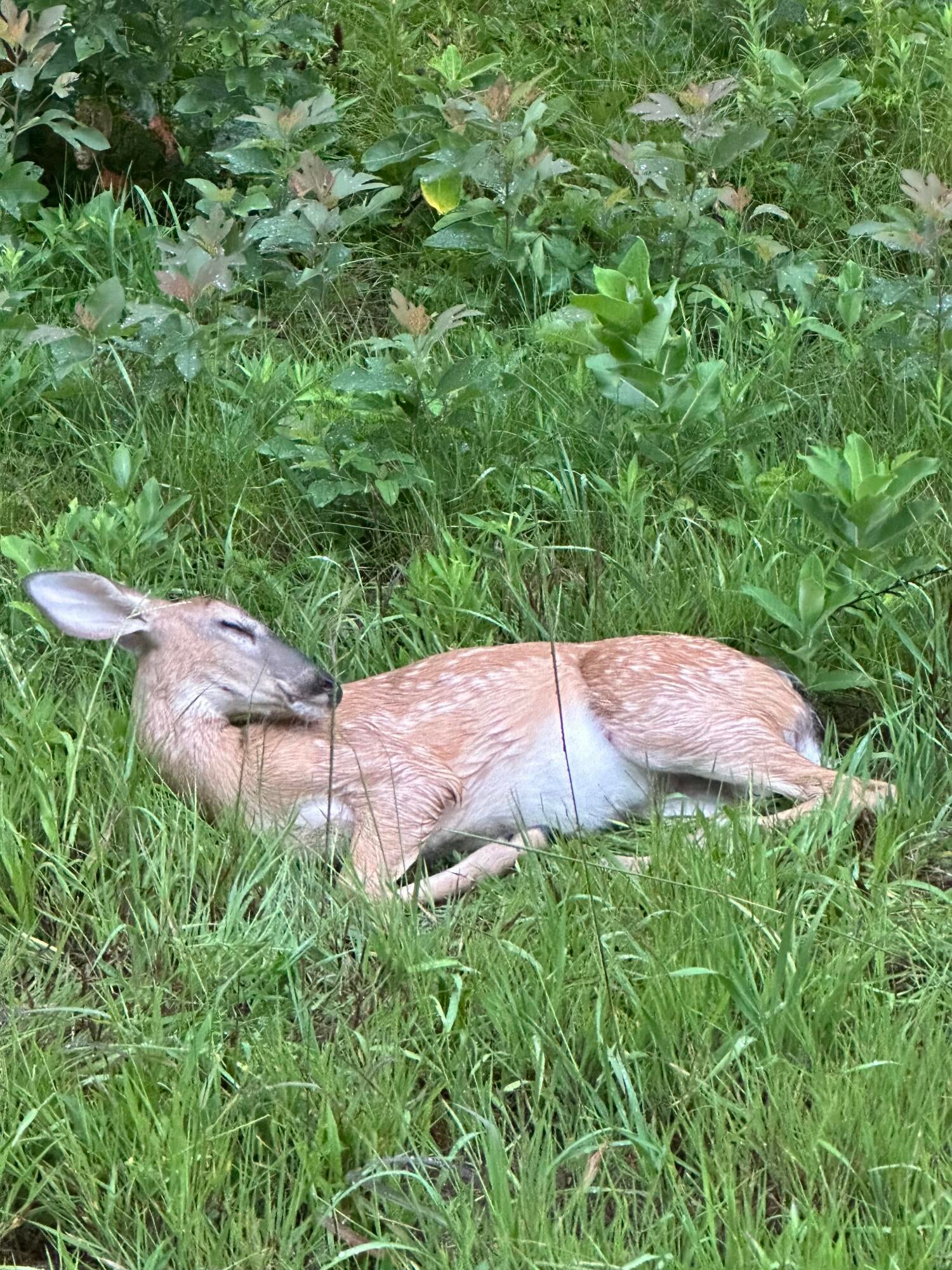 West Olive, Michigan, 49460, United States, 4 Bedrooms Bedrooms, ,4 BathroomsBathrooms,Residential,Active,2001073