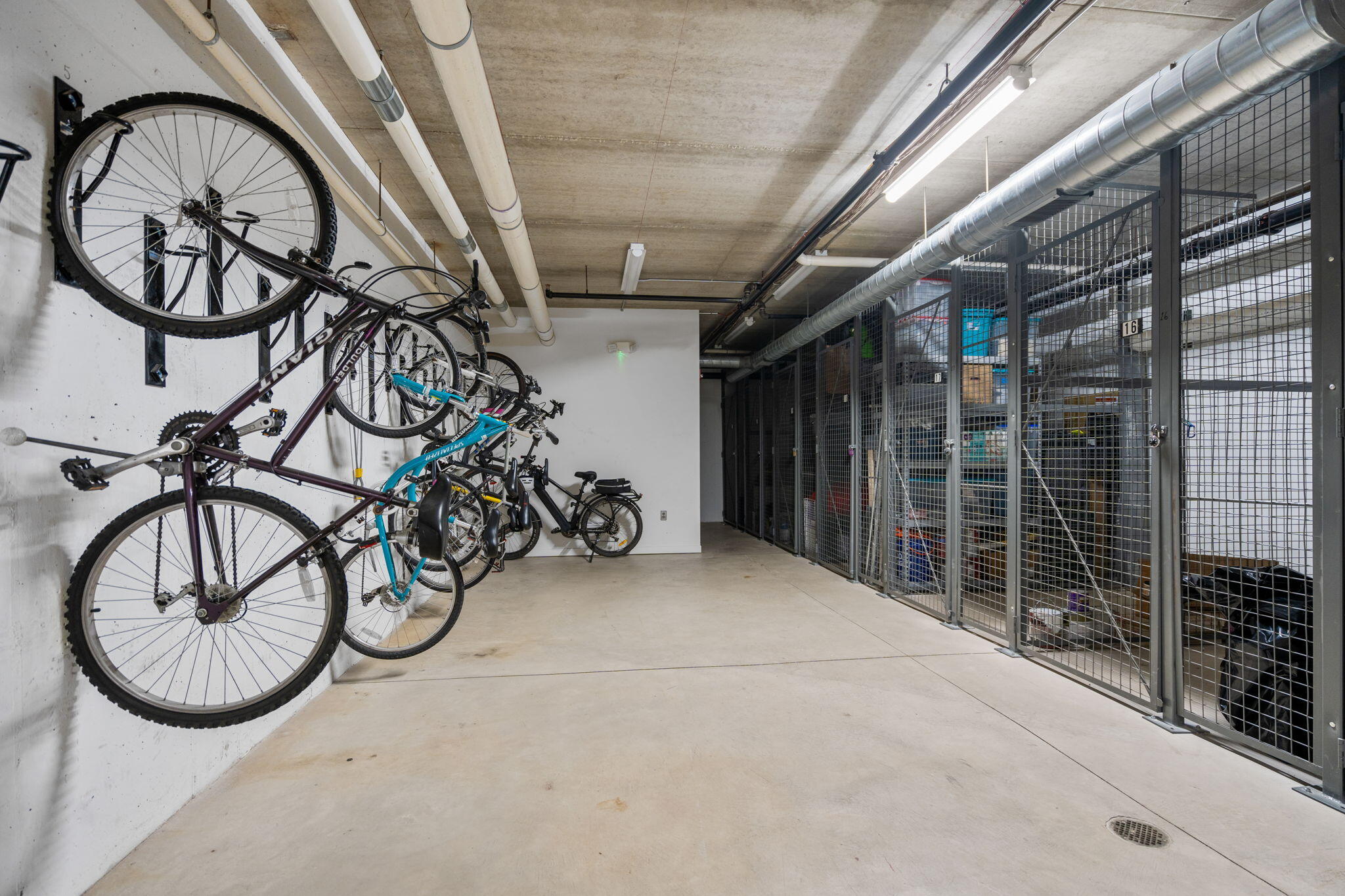 Ann Arbor, Michigan, 48104, United States, 3 Bedrooms Bedrooms, ,4 BathroomsBathrooms,Residential,Active,2007079