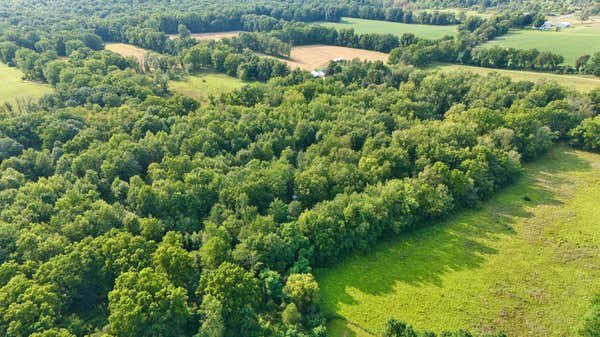 HOG CREEK ROAD, ALLEN, MI 49227 - Image 1