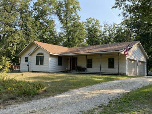 370 N LESTER ST, WHITE CLOUD, MI 49349 - Image 1