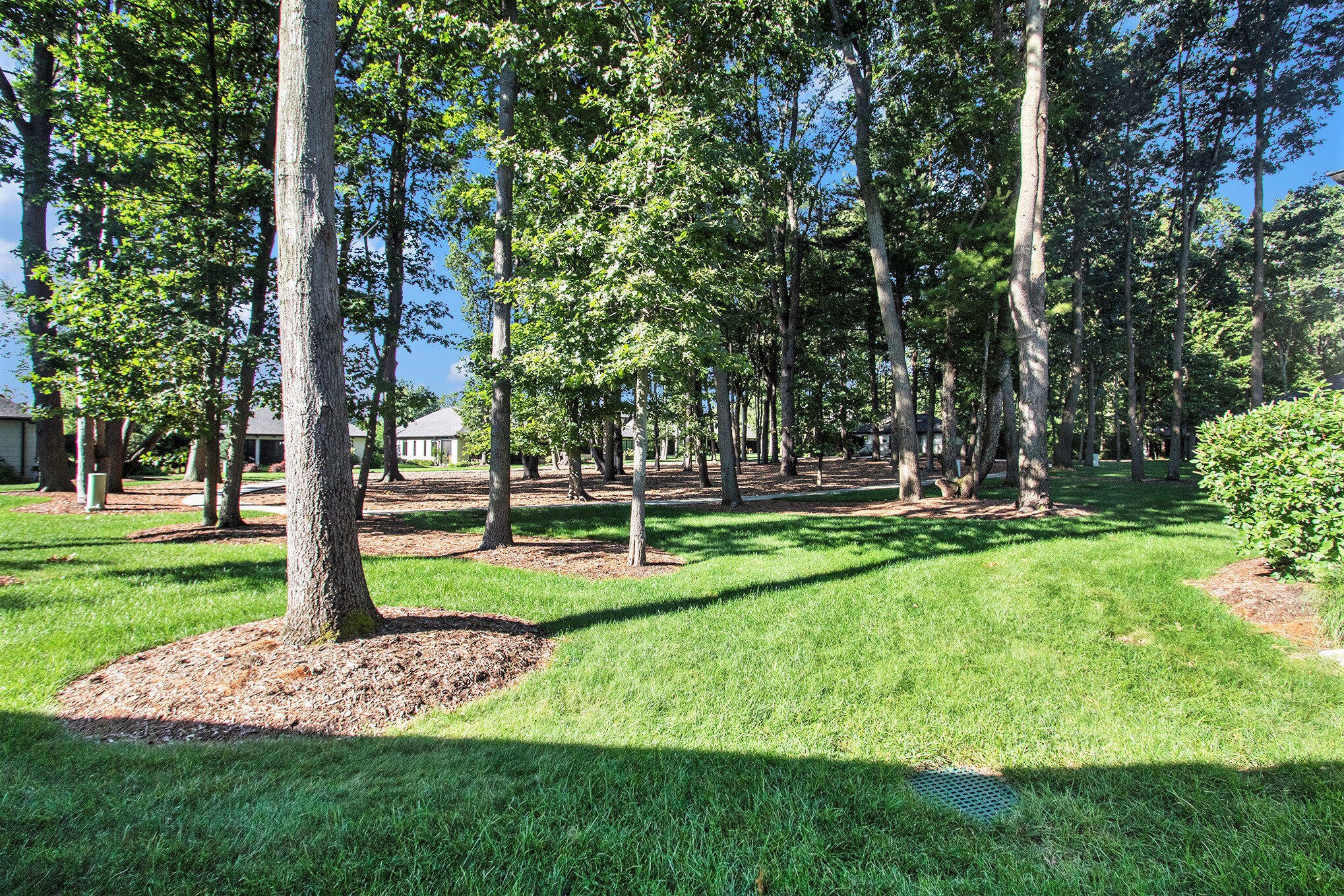 Holland, Michigan, 49424, United States, 3 Bedrooms Bedrooms, ,3 BathroomsBathrooms,Residential,Active,1970962