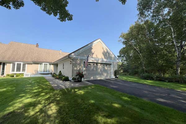 10580 TRAPPER LN, CANADIAN LAKES, MI 49346 - Image 1