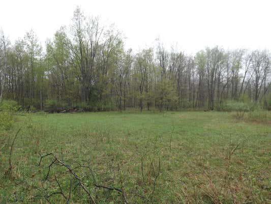 V/L W STANTON RD, PIERSON, MI 49339 - Image 1