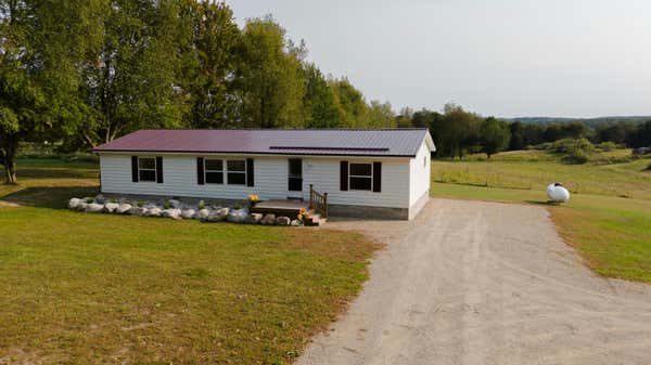 10143 W JORDAN RD, REMUS, MI 49340 - Image 1