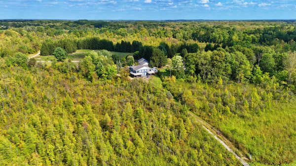 491 BITTER CREEK LN, PIERSON, MI 49339 - Image 1