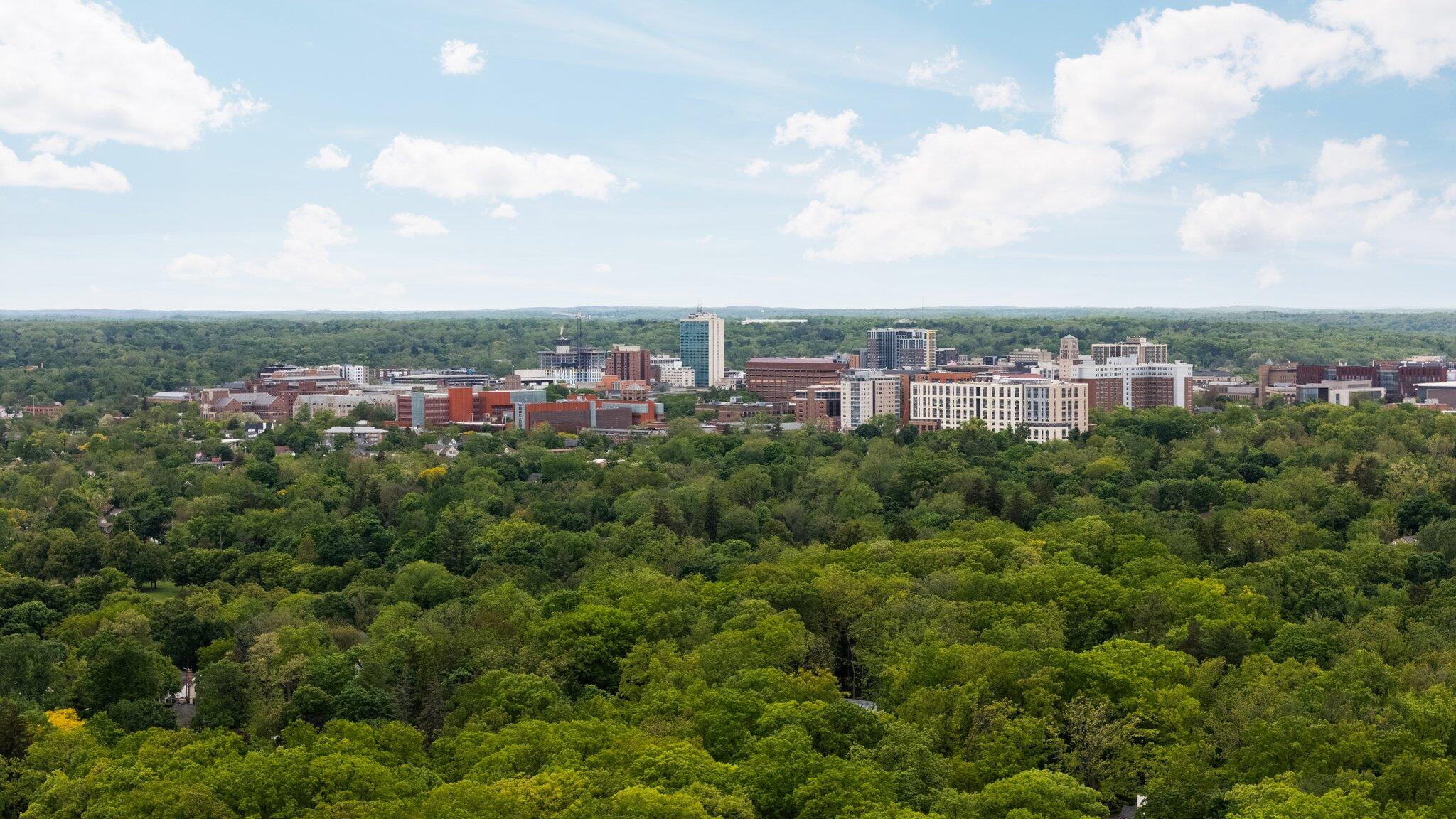 Ann Arbor, Michigan, 48104, United States, 4 Bedrooms Bedrooms, ,4 BathroomsBathrooms,Residential,Active,1831800