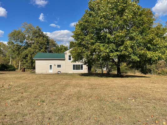 221 W BRIDGE ST, LYONS, MI 48851 - Image 1