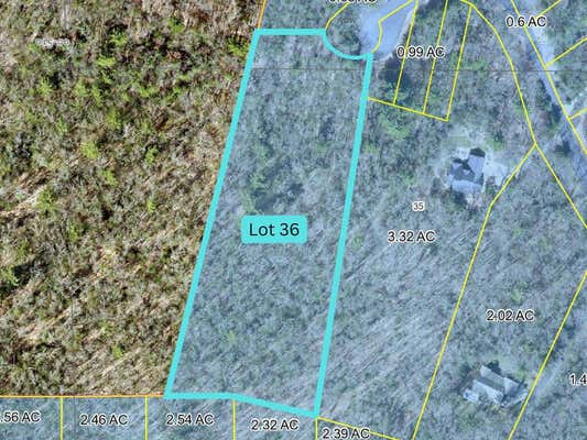 LOT 36 WILDWOOD DRIVE, ALLEGAN, MI 49010 - Image 1