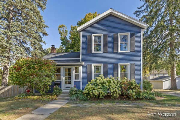 429 S LINCOLN ST, PORTLAND, MI 48875 - Image 1