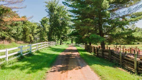 1375 BURKLEY RD, WILLIAMSTON, MI 48895, photo 2 of 71