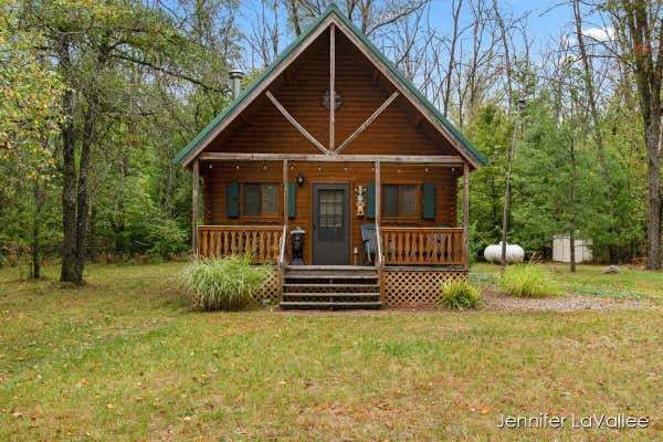 3661 E GUSTAFSON TRAIL, WHITE CLOUD, MI 49349 - Image 1