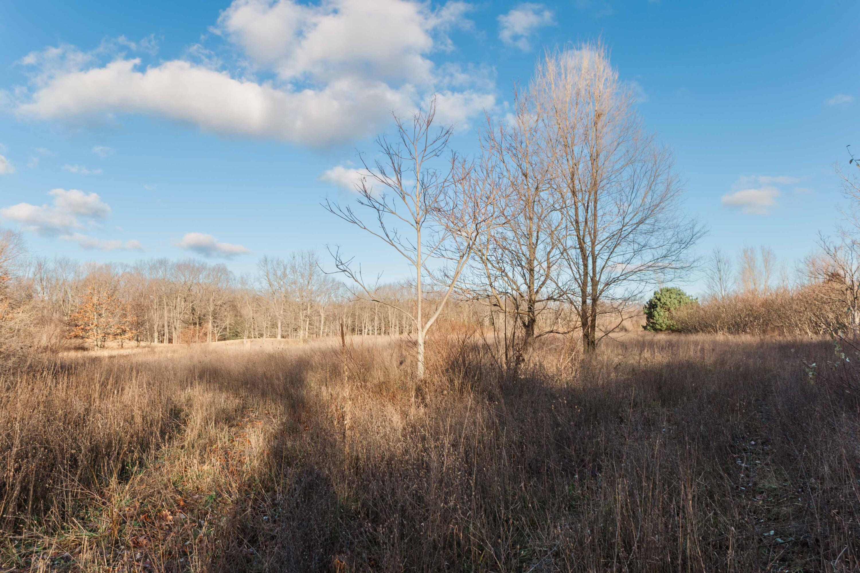 Saugatuck, Michigan, 49453, United States, ,5 BathroomsBathrooms,Residential,Pending,1769548